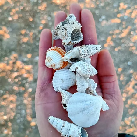 アパート Sara ヴーシ