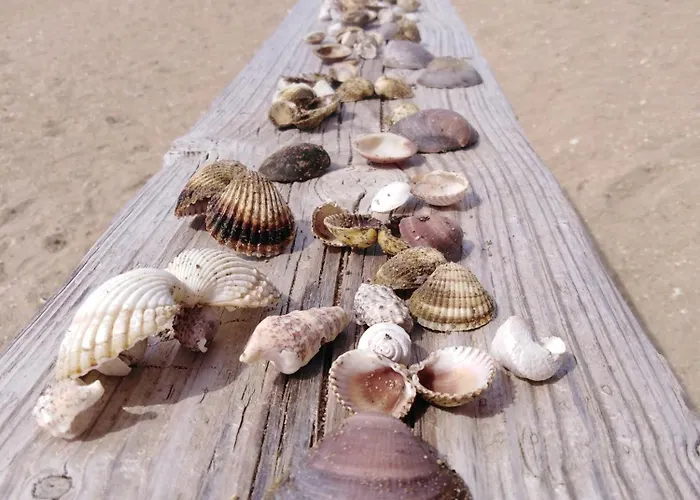 Апартаменты Sara *