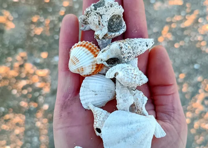 Апартаменты Sara Врси